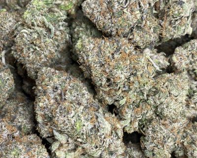 PASS OUT PINK (MEGA GAS) (BULK DEAL) - Image 5